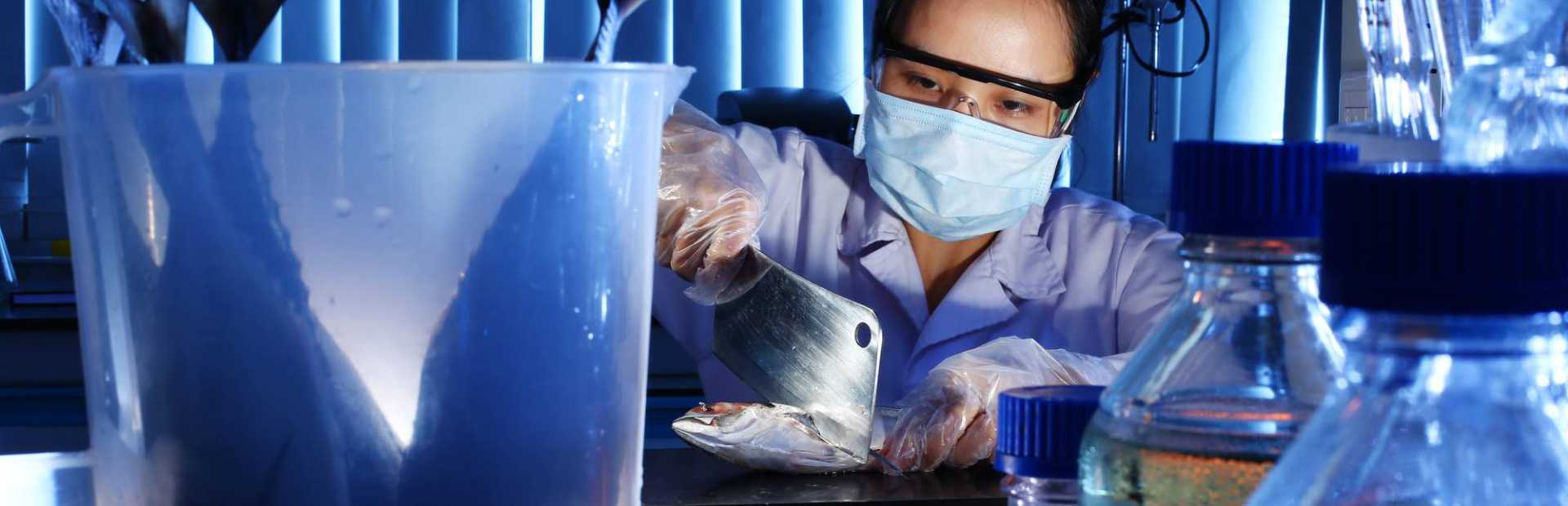 Cursos de ISO 22000 de TÜV Rheinland